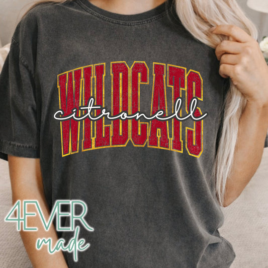 4EVER WILDCATS- varsity script