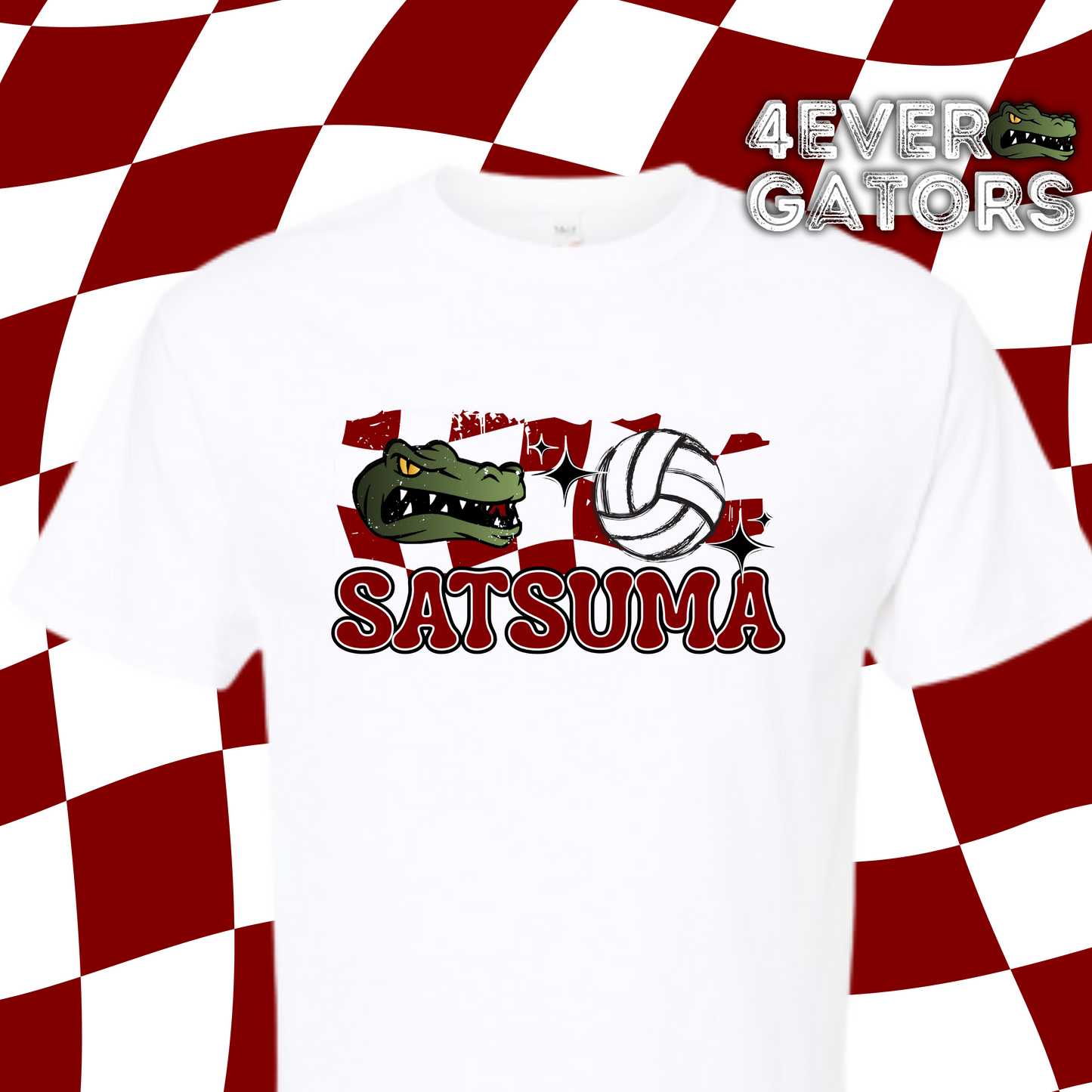 4EVER Gators~Retro check volleyball