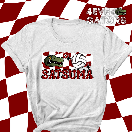 4EVER Gators~Retro check volleyball